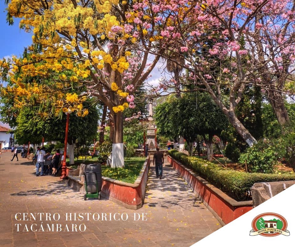 Plaza de Tacámbaro con jacarandas